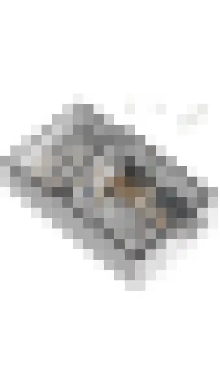 Haven 59 Geertruidenberg thumbnail 52