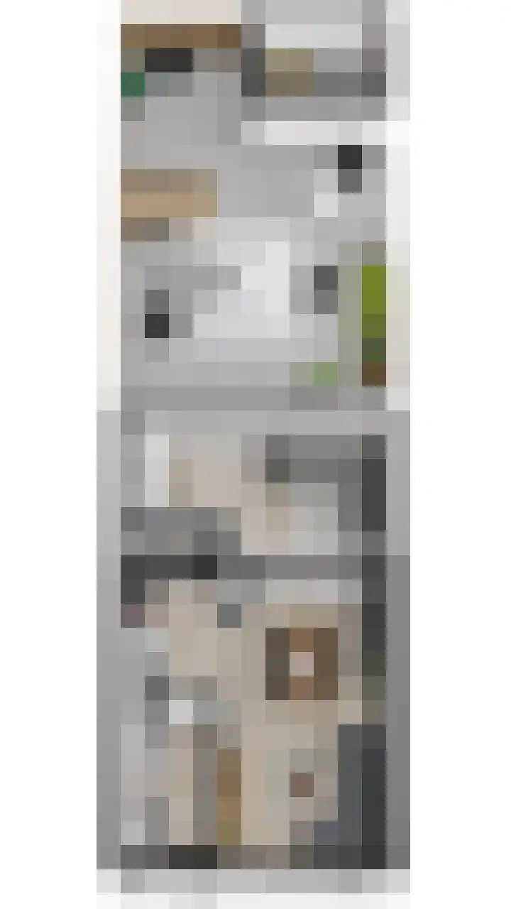 Haven 59 Geertruidenberg thumbnail 55