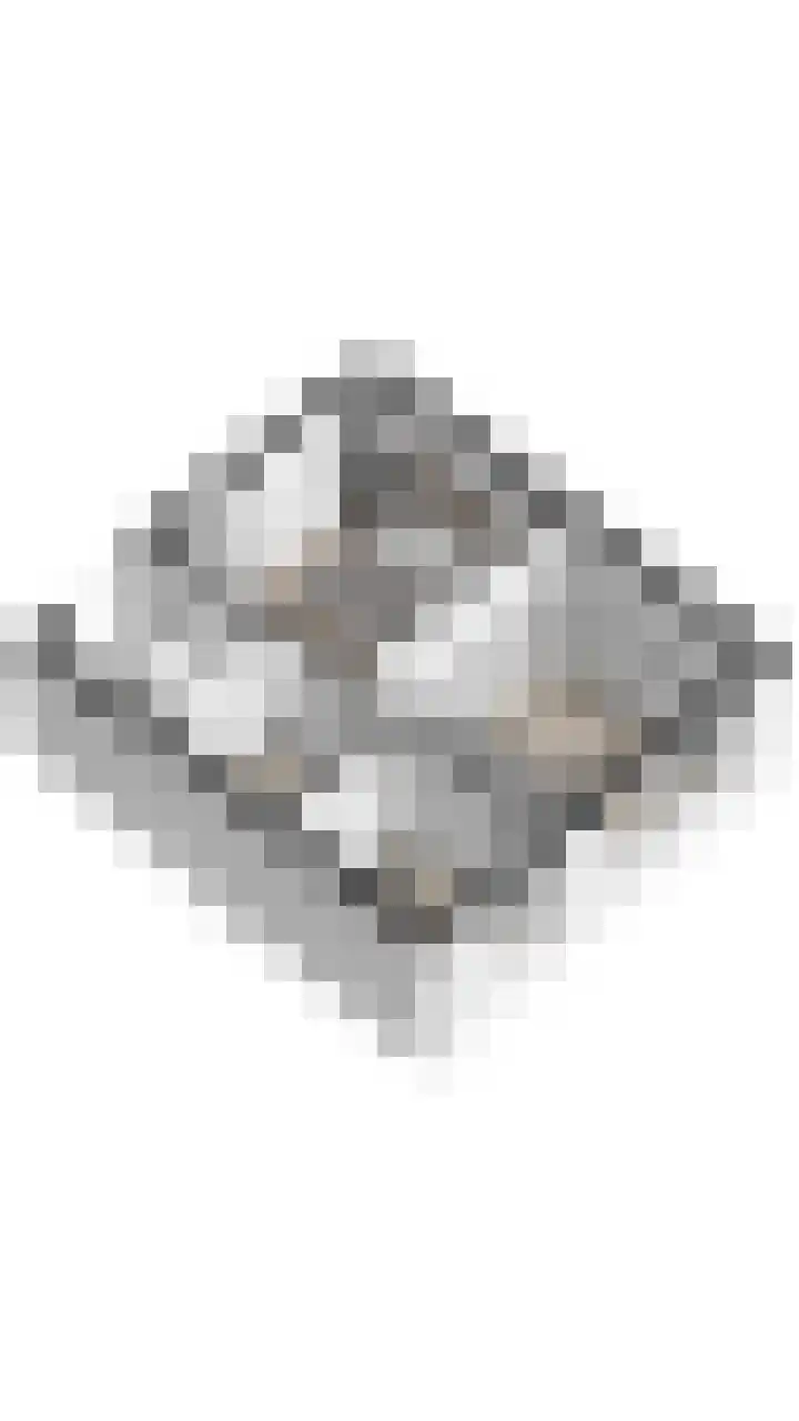 Haven 59 Geertruidenberg thumbnail 56