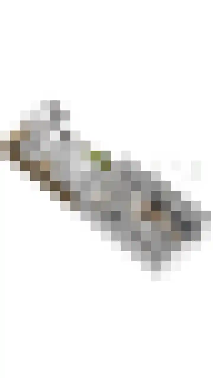 Haven 59 Geertruidenberg thumbnail 58