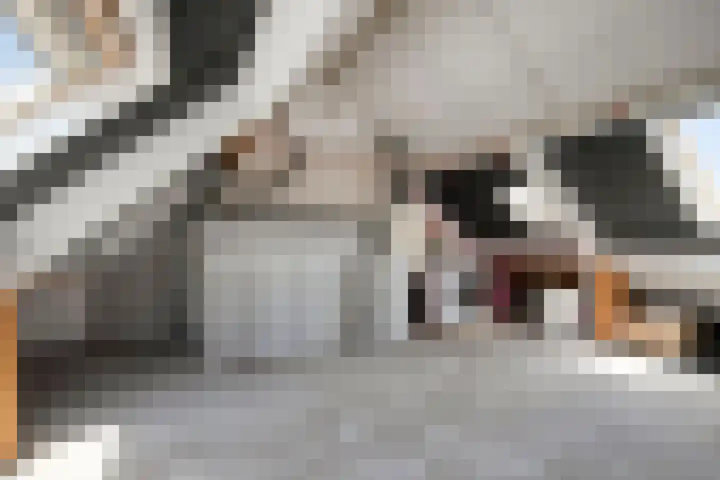 Haven 6 Terheijden thumbnail 21