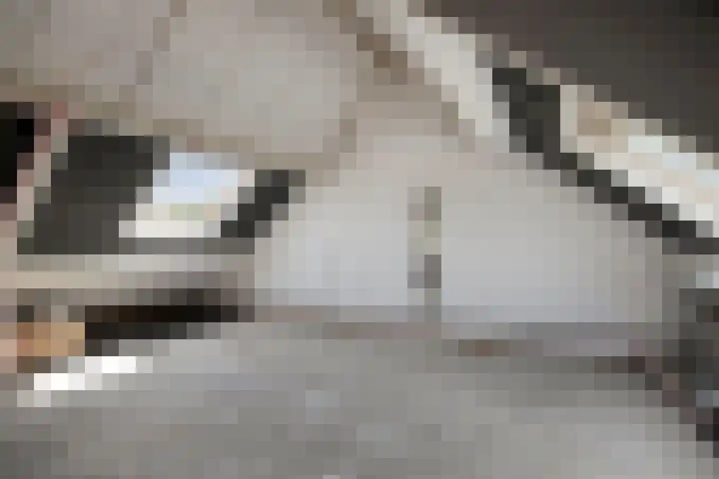 Haven 6 Terheijden thumbnail 22