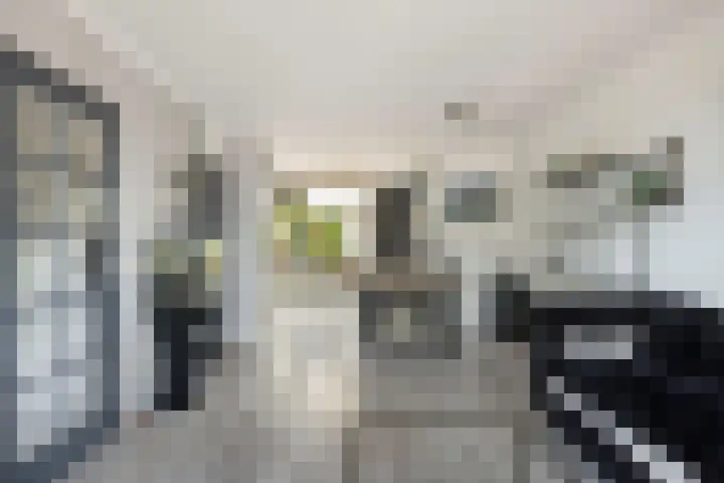 Haven 6 Terheijden thumbnail 6