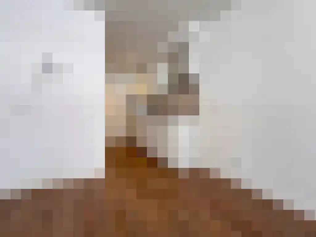 Haven 7 Leiden thumbnail 6