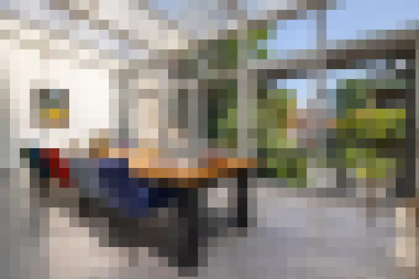 Haven 71 Schoonhoven thumbnail 16