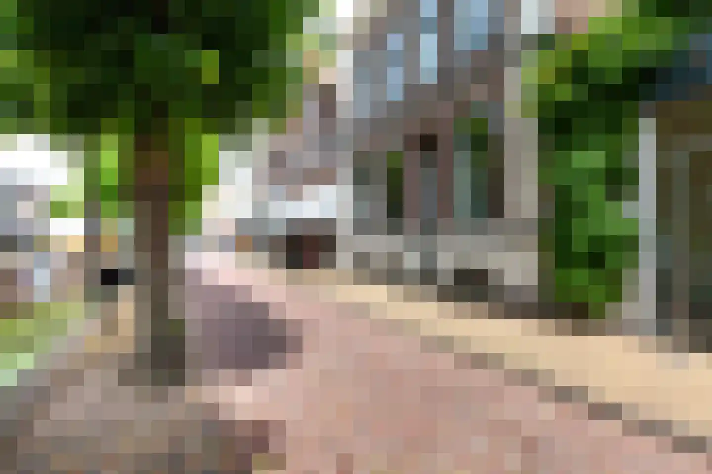 Haven 71 Schoonhoven thumbnail 49