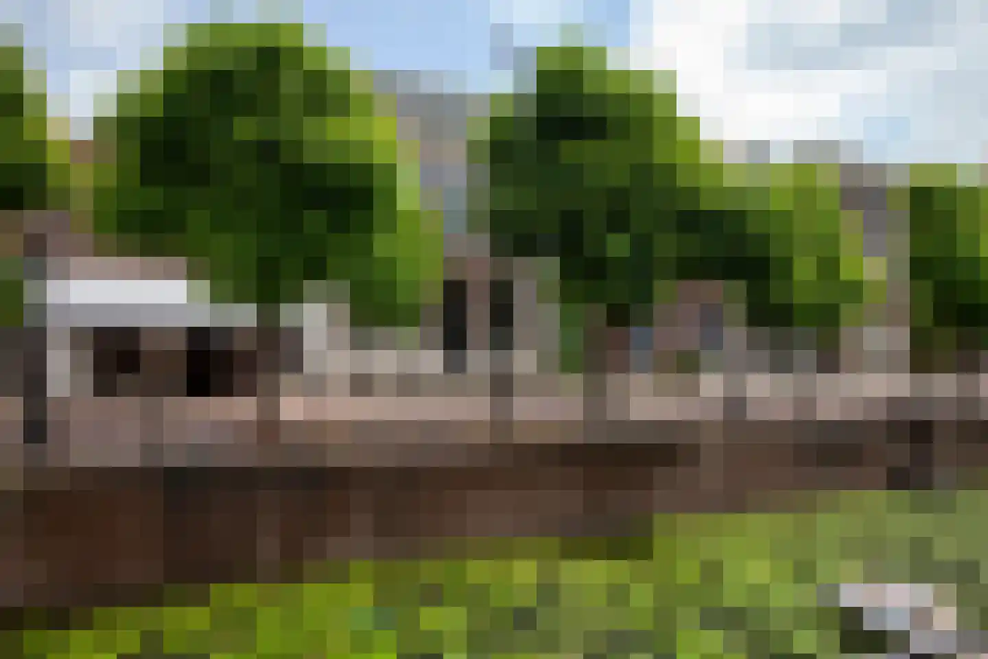 Haven 71 Schoonhoven thumbnail 52