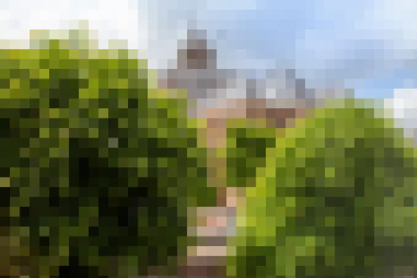 Haven 71 Schoonhoven thumbnail 54