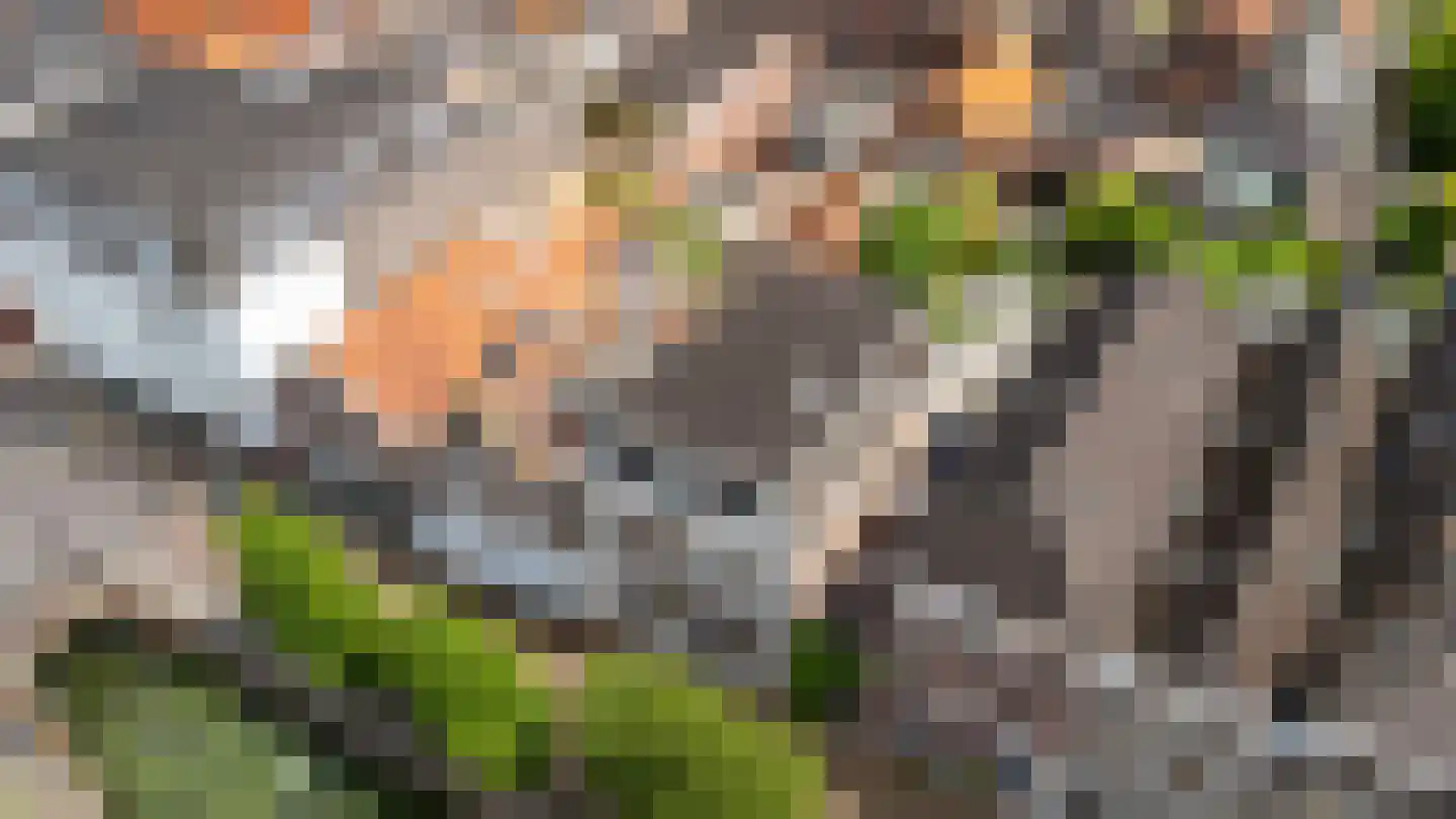 Haven 71 Schoonhoven thumbnail 68
