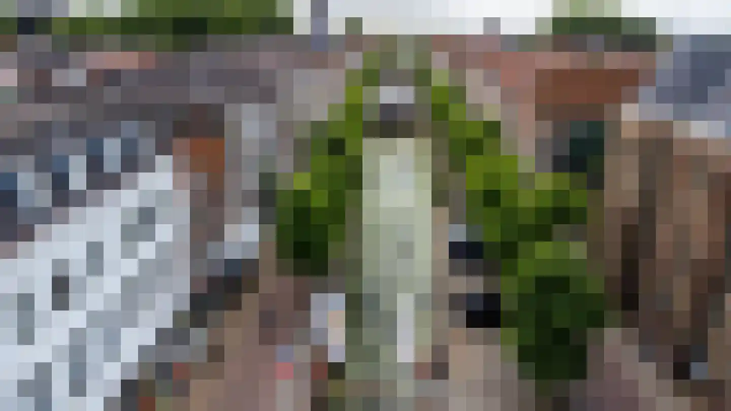 Haven 71 Schoonhoven thumbnail 70