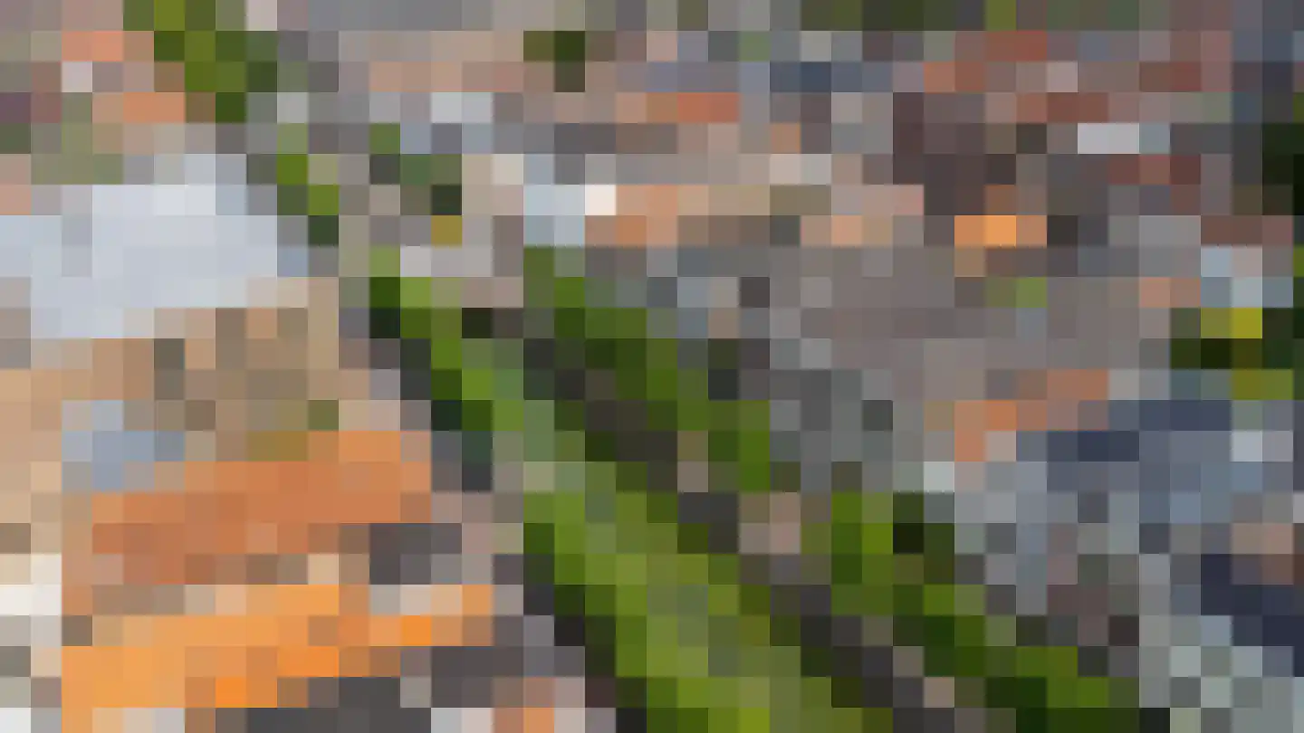 Haven 71 Schoonhoven thumbnail 71