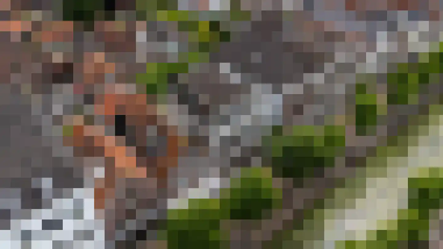 Haven 71 Schoonhoven thumbnail 72