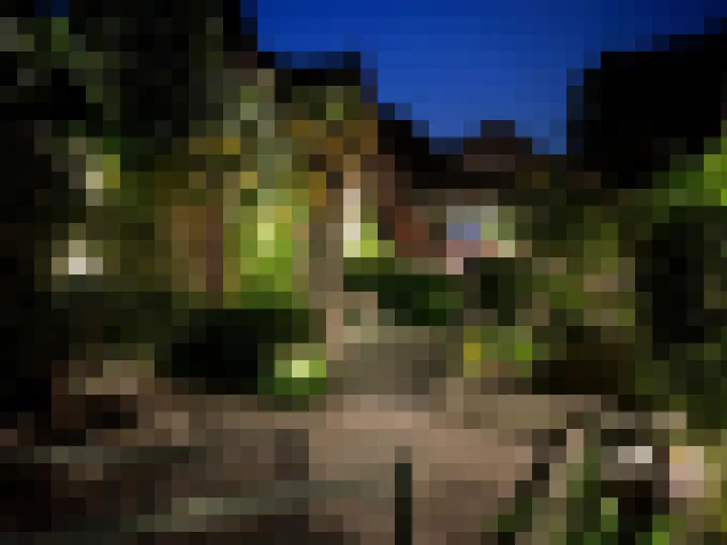 Haven 71 Schoonhoven thumbnail 74