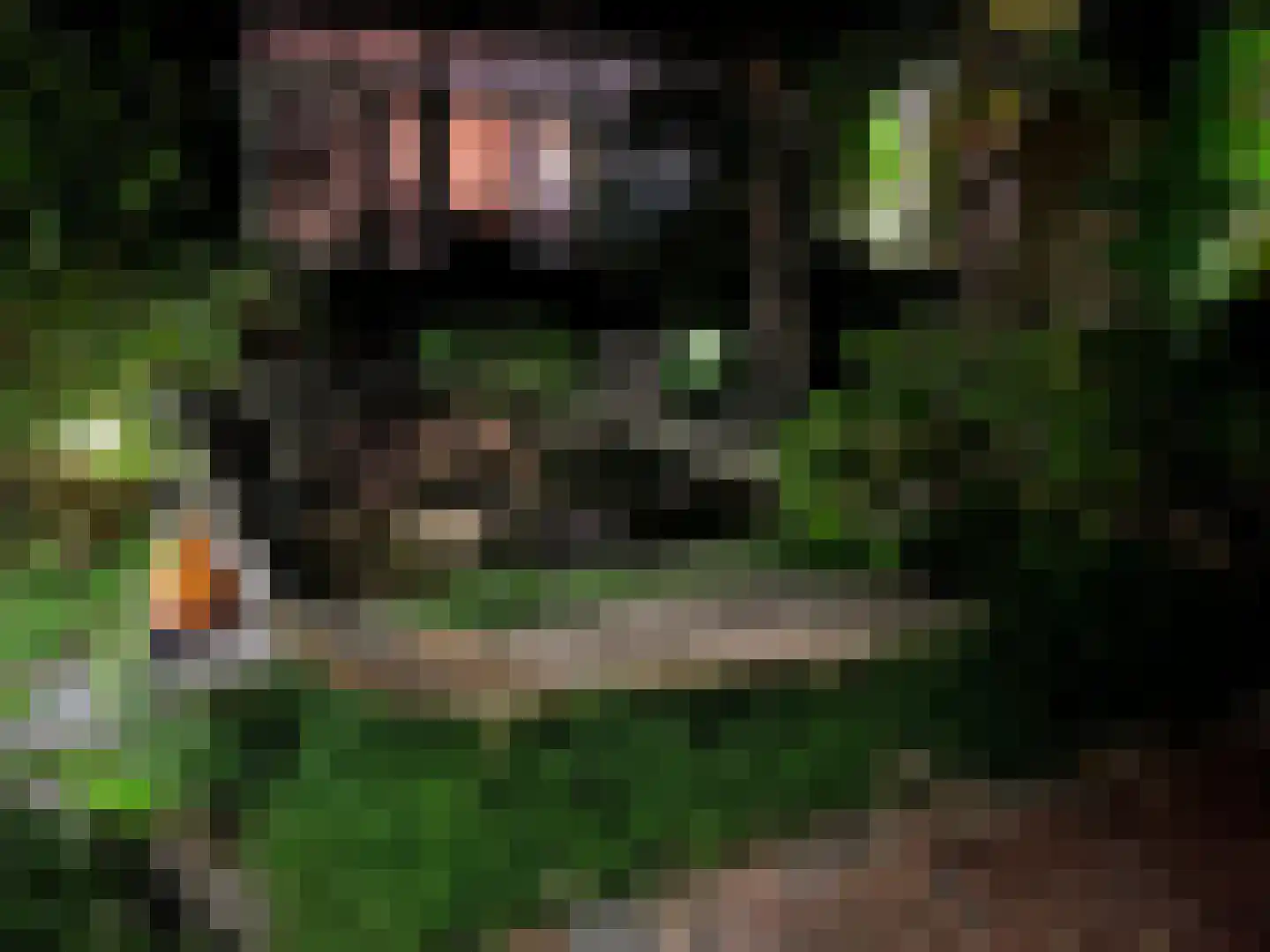 Haven 71 Schoonhoven thumbnail 76