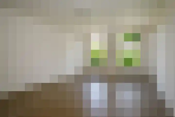 Haven 72 b Schoonhoven thumbnail 15