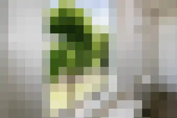 Haven 72 b Schoonhoven thumbnail 17