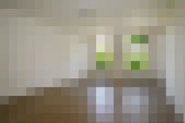 Haven 72 b Schoonhoven thumbnail 4