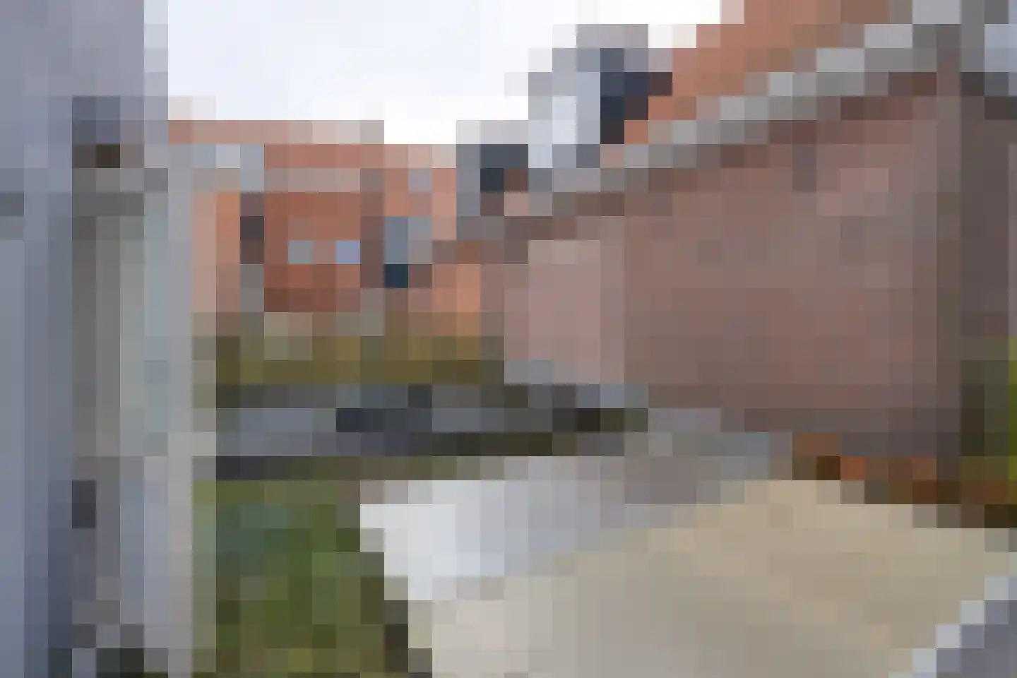 Haven 74 Volendam thumbnail 46