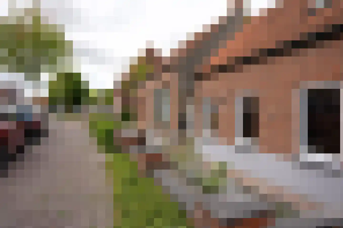 Haven 9 Aardenburg thumbnail 35