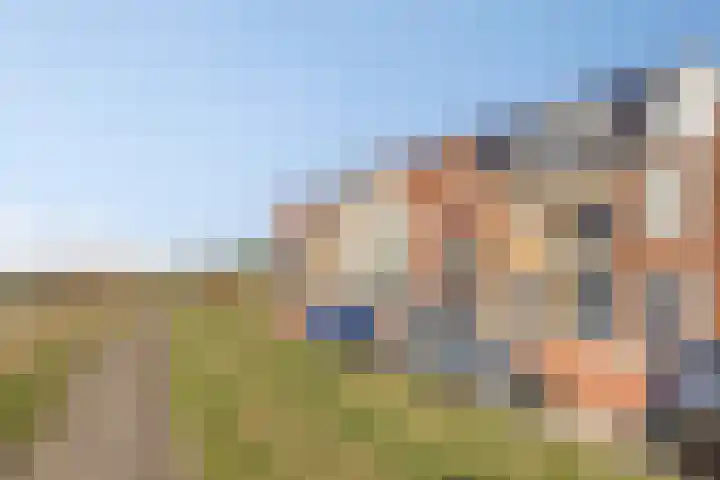 Haven 9 Sint Philipsland thumbnail 13