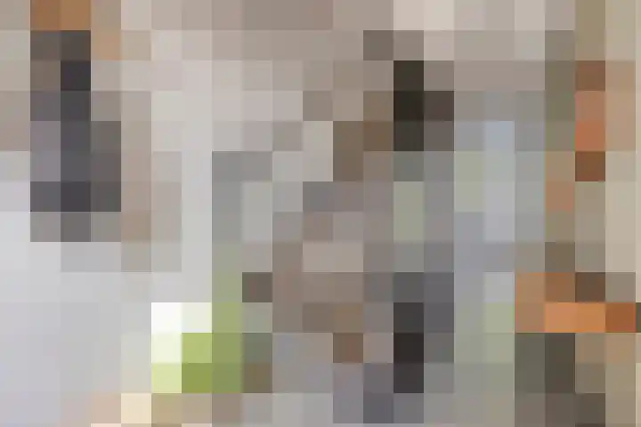 Haven 9 Sint Philipsland thumbnail 15