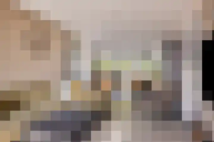 Haven 9 Sint Philipsland thumbnail 19