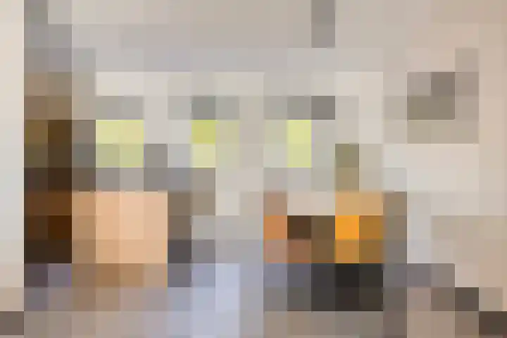 Haven 9 Sint Philipsland thumbnail 23