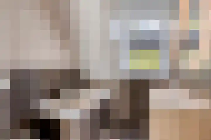 Haven 9 Sint Philipsland thumbnail 7