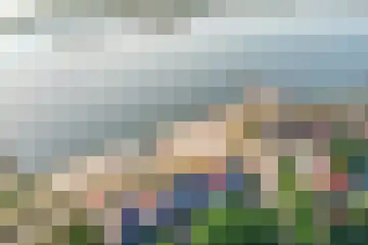 Haven 9 Sint Philipsland thumbnail 8