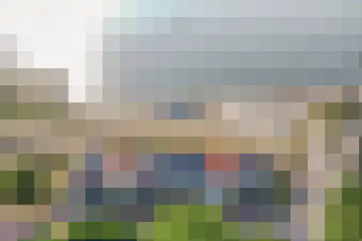 Haven 9 Sint Philipsland thumbnail 9