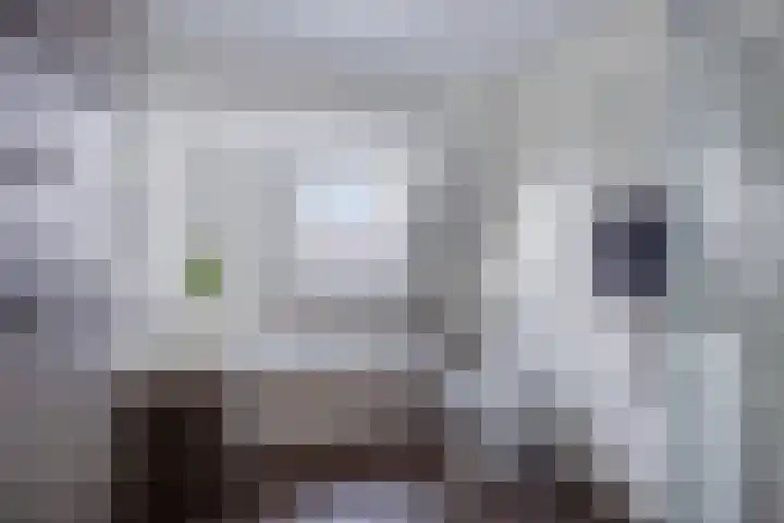 Haven 94 Hillegom thumbnail 18