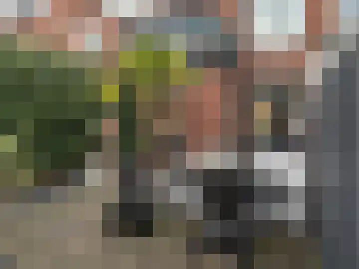 Haven 94 Hillegom thumbnail 26