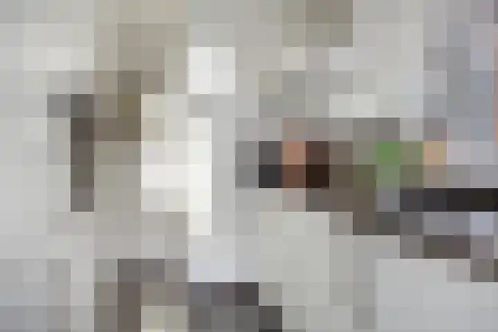Haven 94 Hillegom thumbnail 9