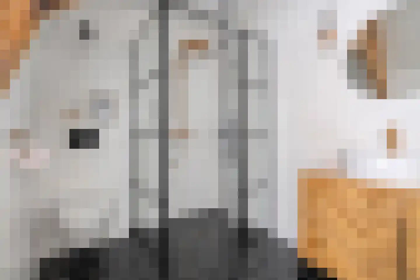Haven Noordzijde 93 Almelo thumbnail 25