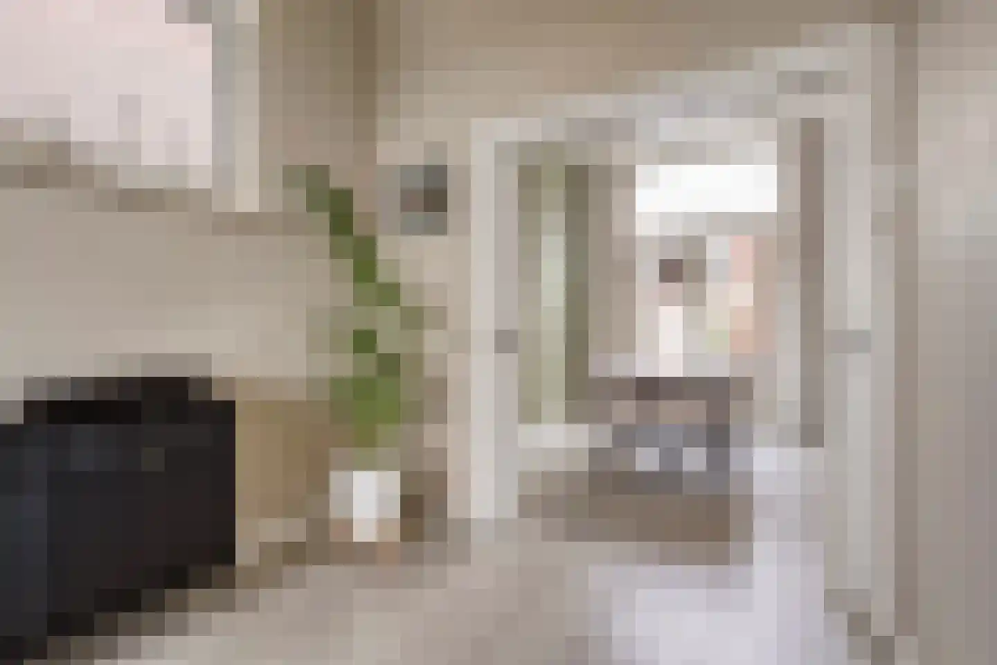 Haven Noordzijde 93 Almelo thumbnail 9