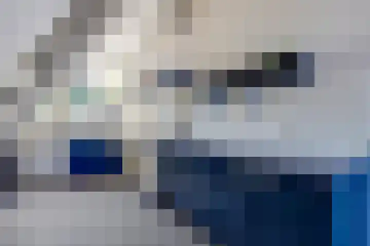Haven Zuidzijde 18 Brouwershaven thumbnail 8