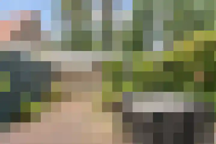 Havenafweg 3 Wageningen thumbnail 15