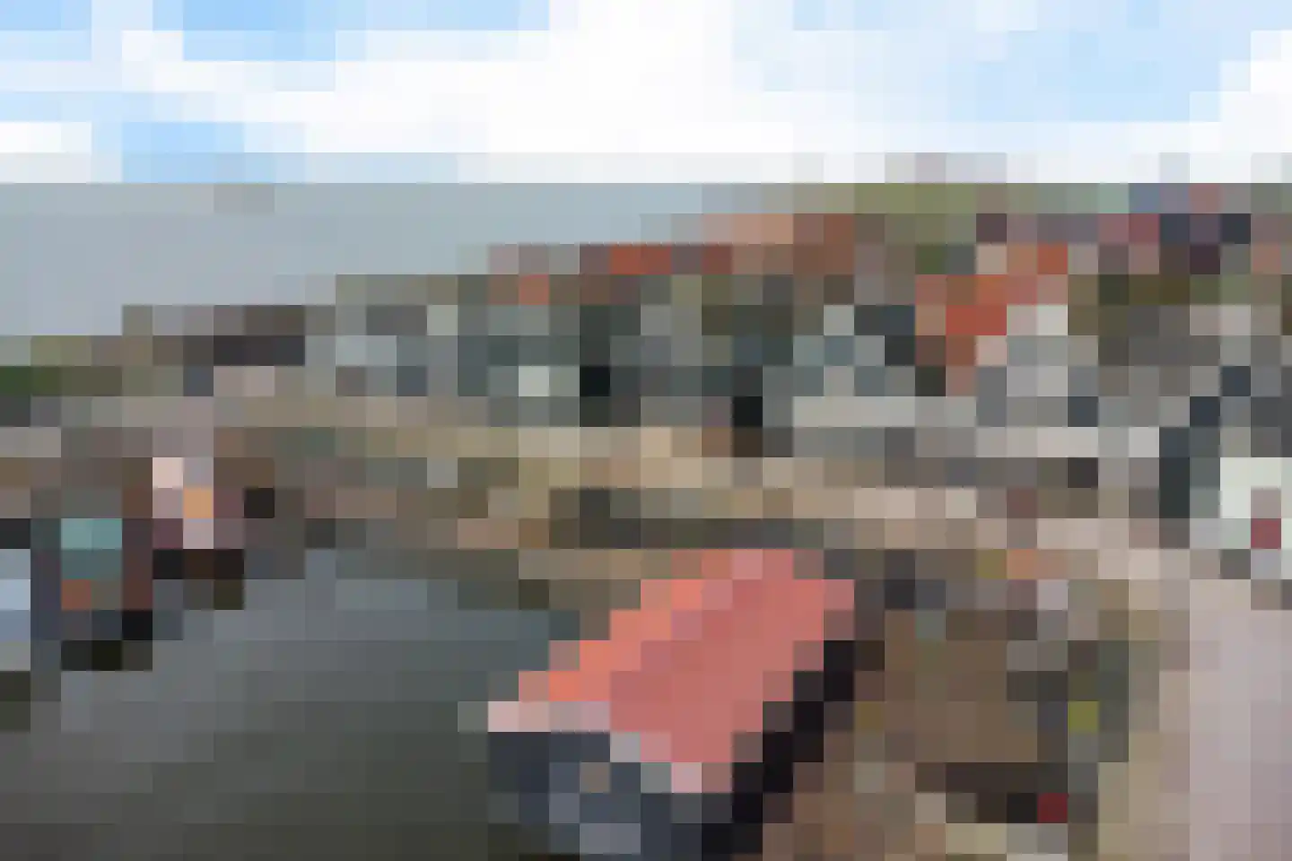 Havenbuurt 19 C Marken thumbnail 59