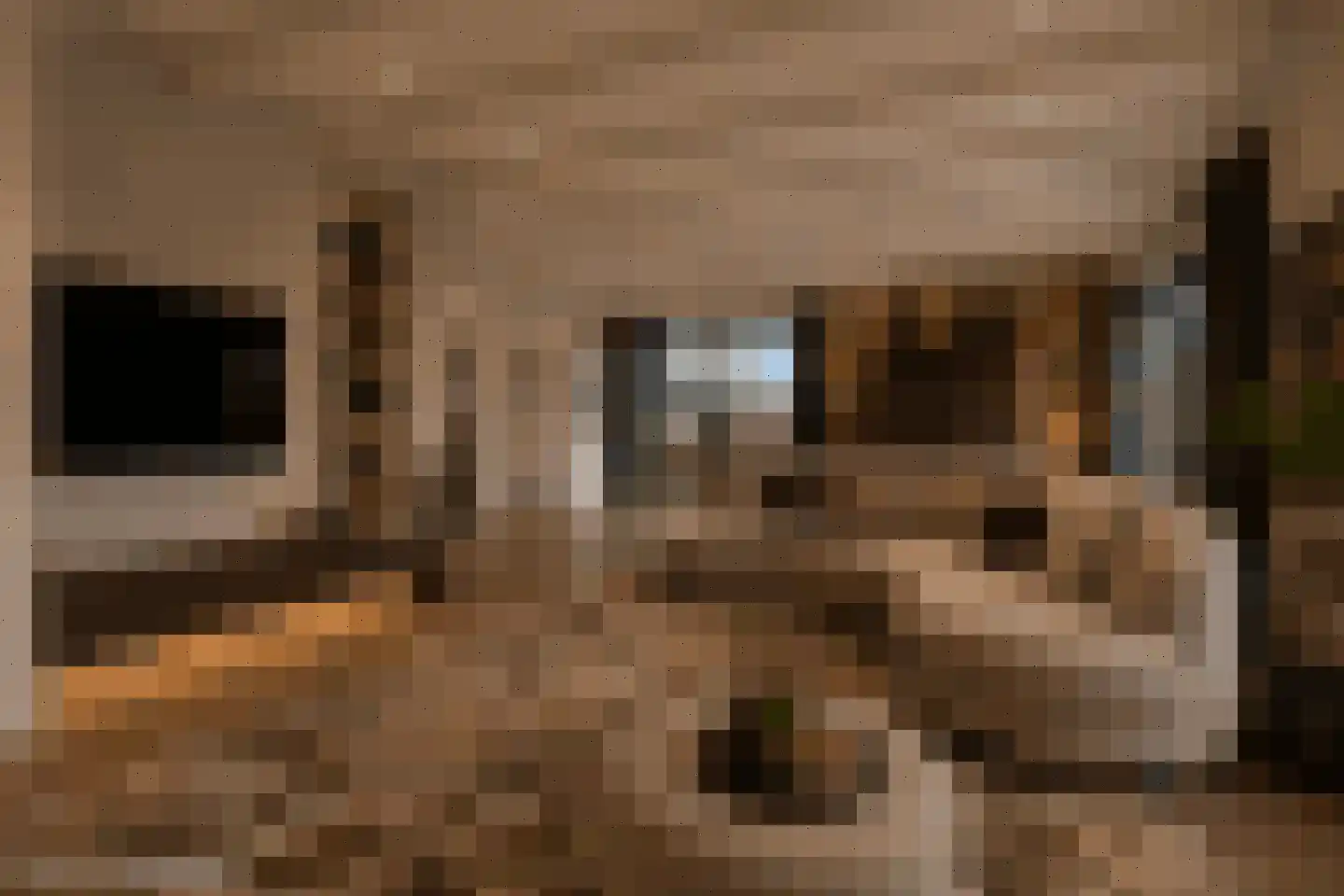 Havendam 13 b Rhoon thumbnail 14