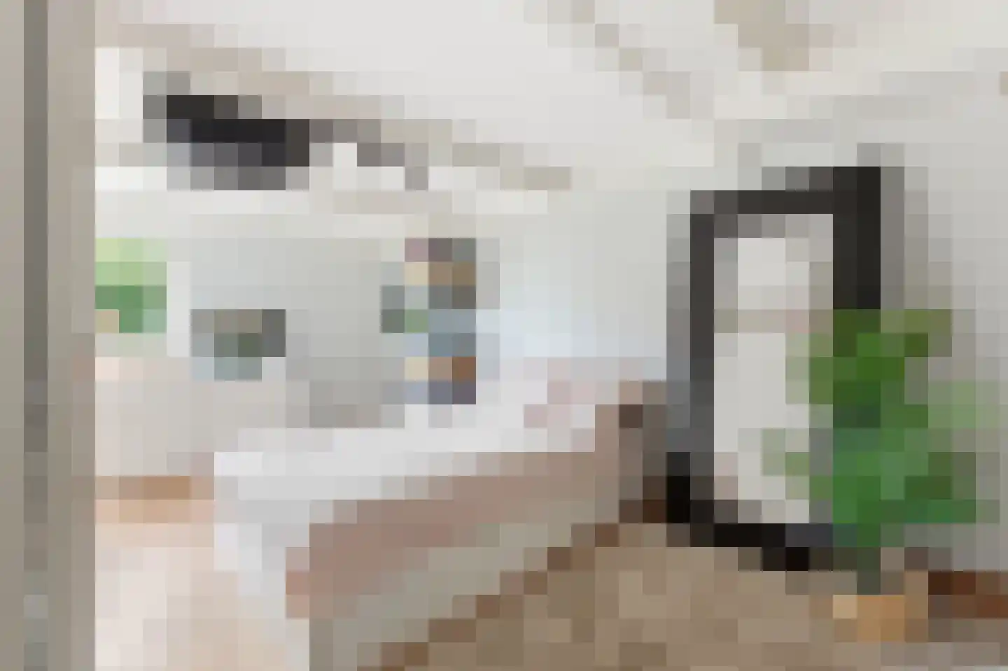 Havendam 13 b Rhoon thumbnail 29