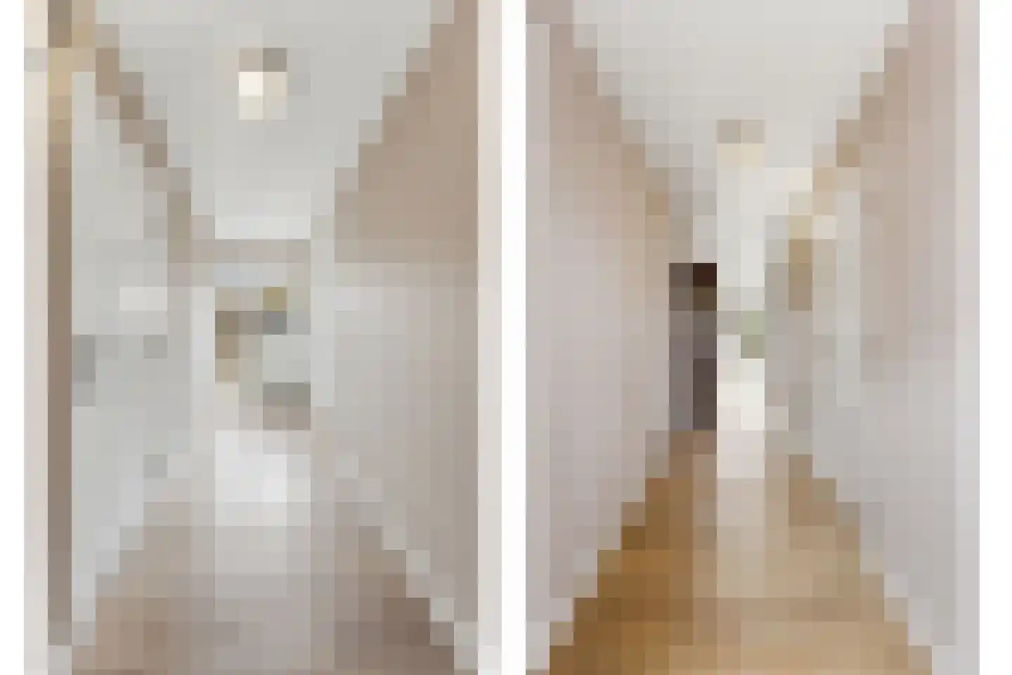 Havendam 13 b Rhoon thumbnail 35