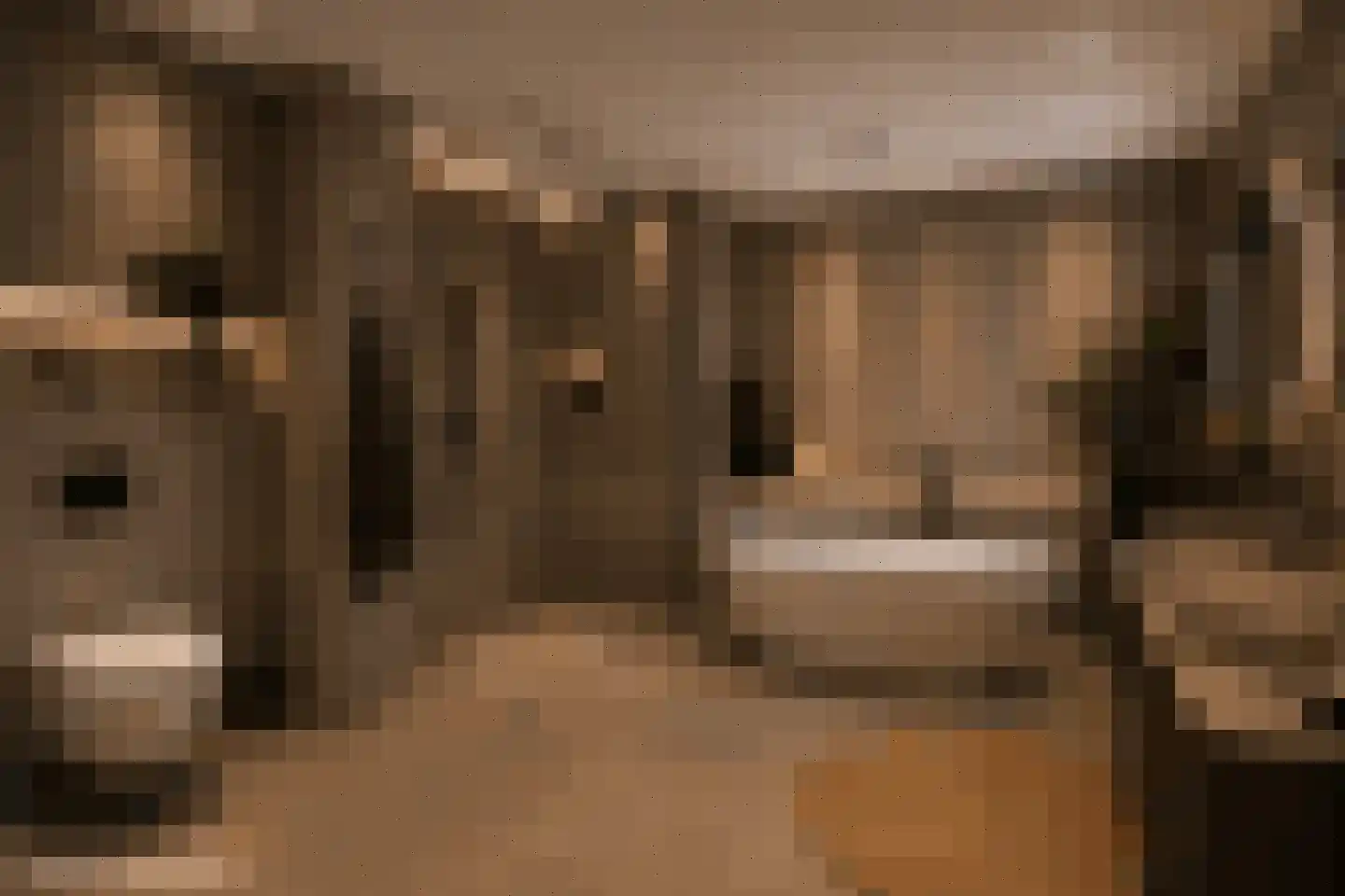 Havendam 13 b Rhoon thumbnail 37
