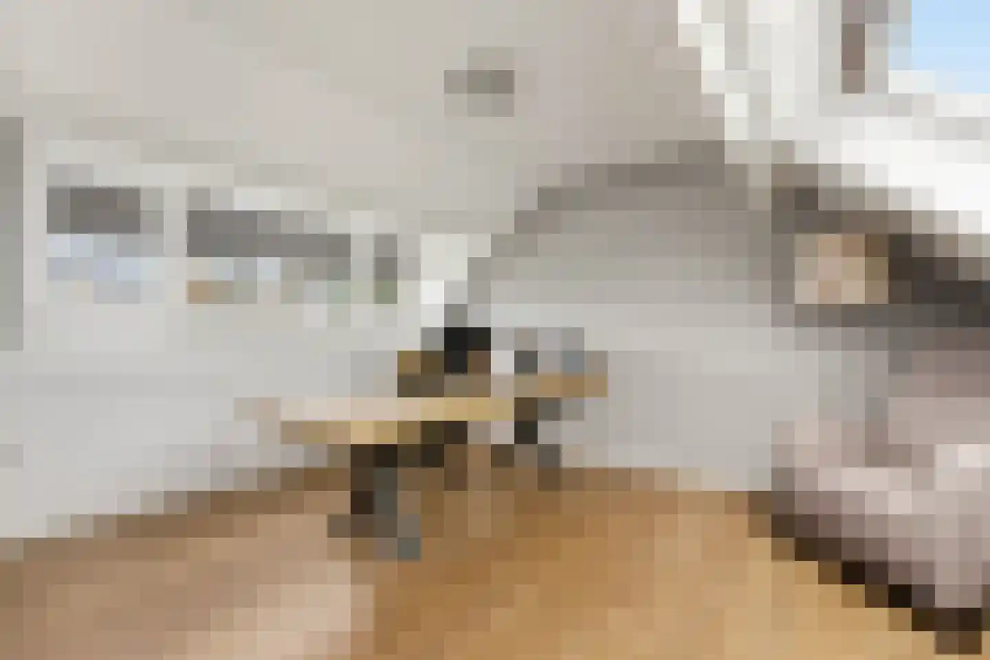 Havendam 13 b Rhoon thumbnail 39