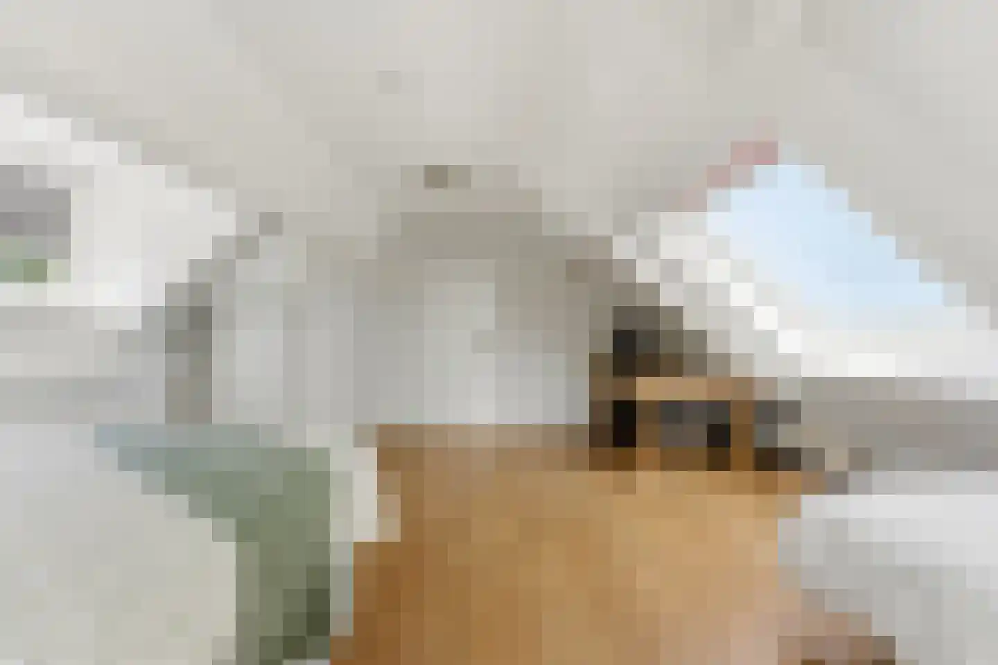 Havendam 13 b Rhoon thumbnail 41
