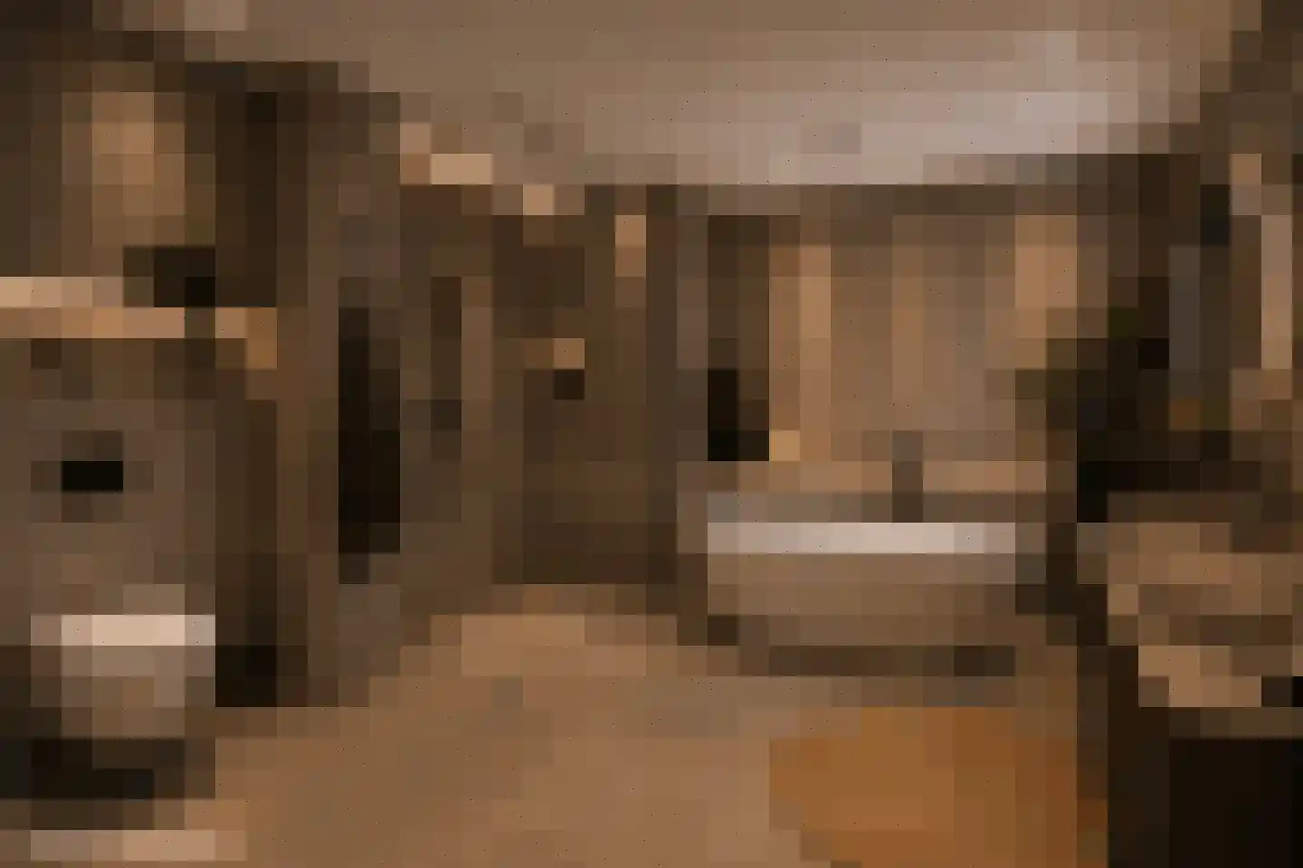 Havendam 13 b Rhoon thumbnail 5