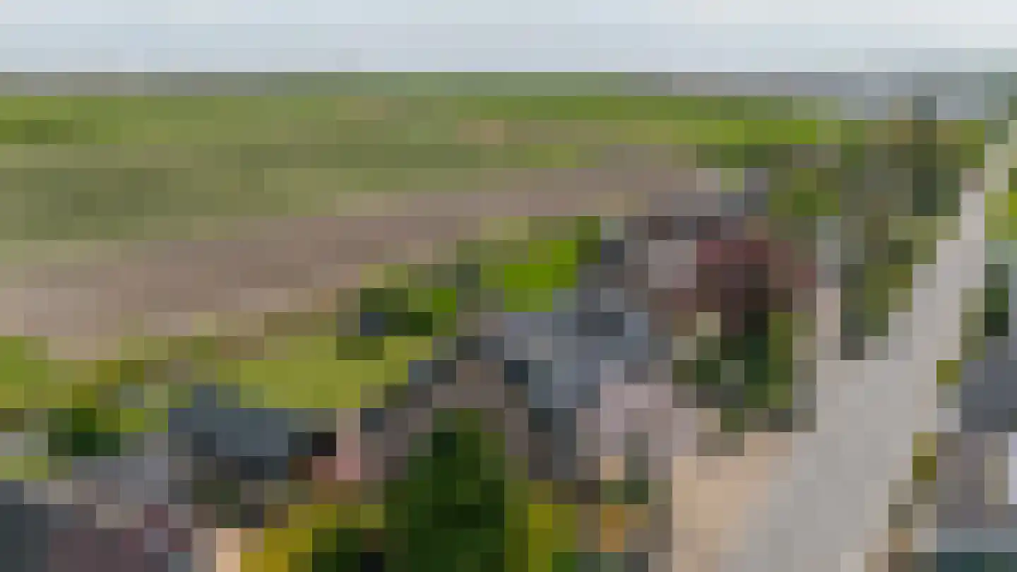 Havendam 13 b Rhoon thumbnail 59