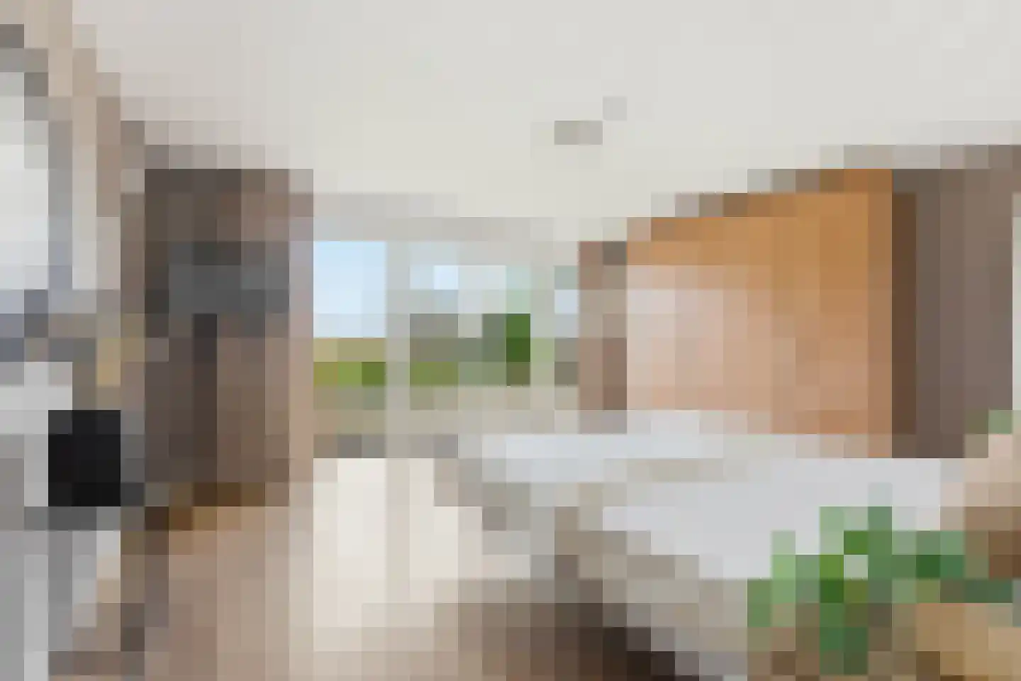 Havendam 13 b Rhoon thumbnail 6