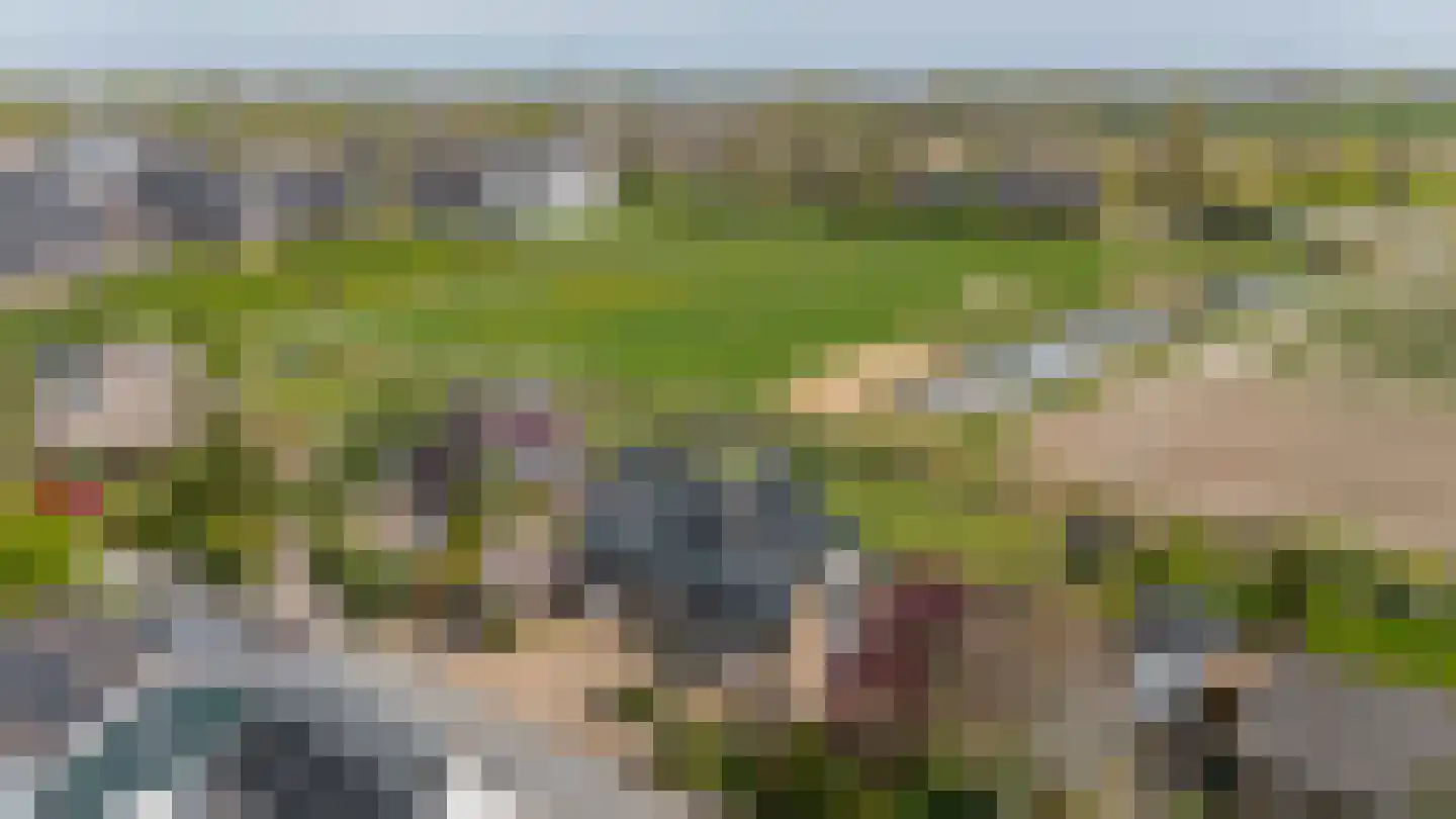 Havendam 13 b Rhoon thumbnail 60