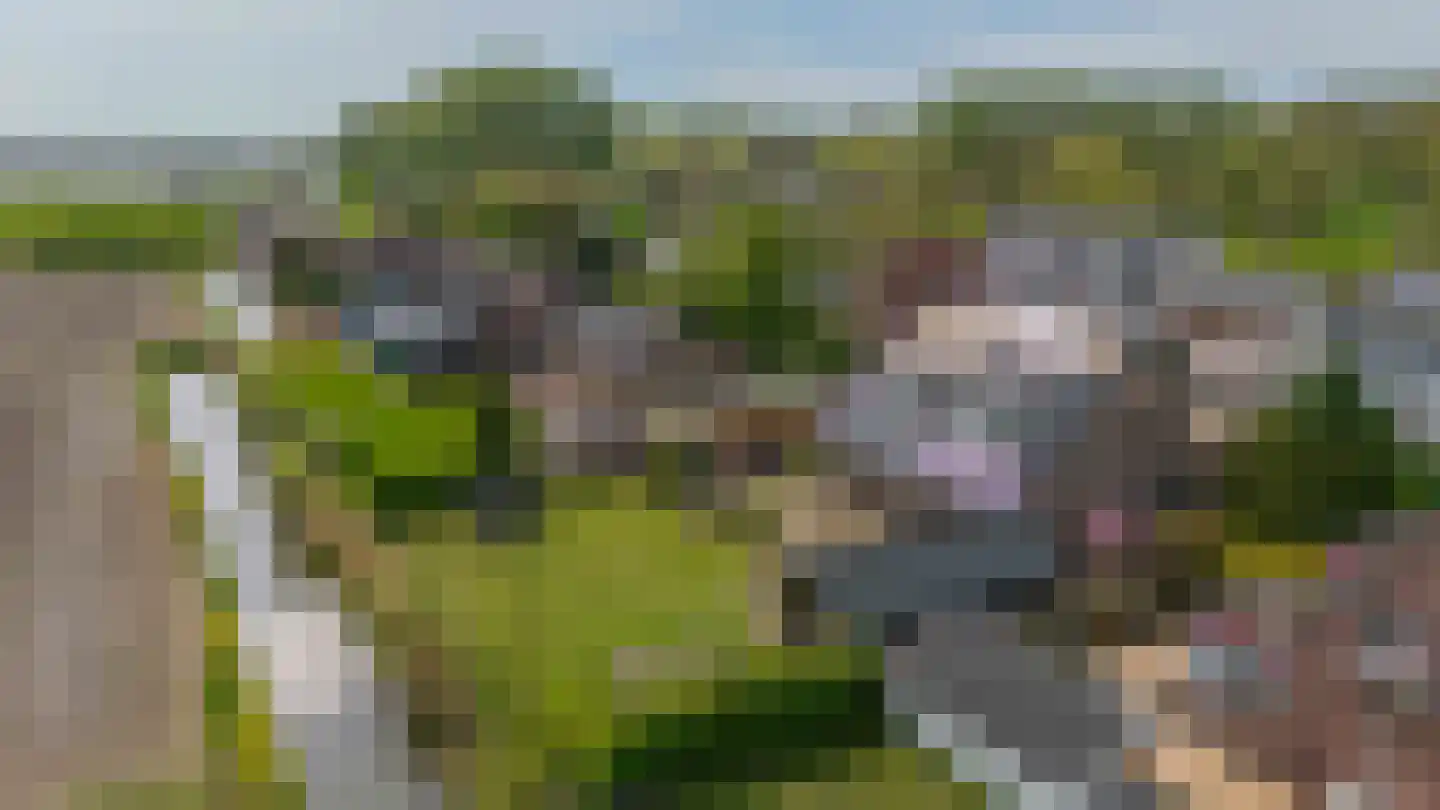 Havendam 13 b Rhoon thumbnail 61