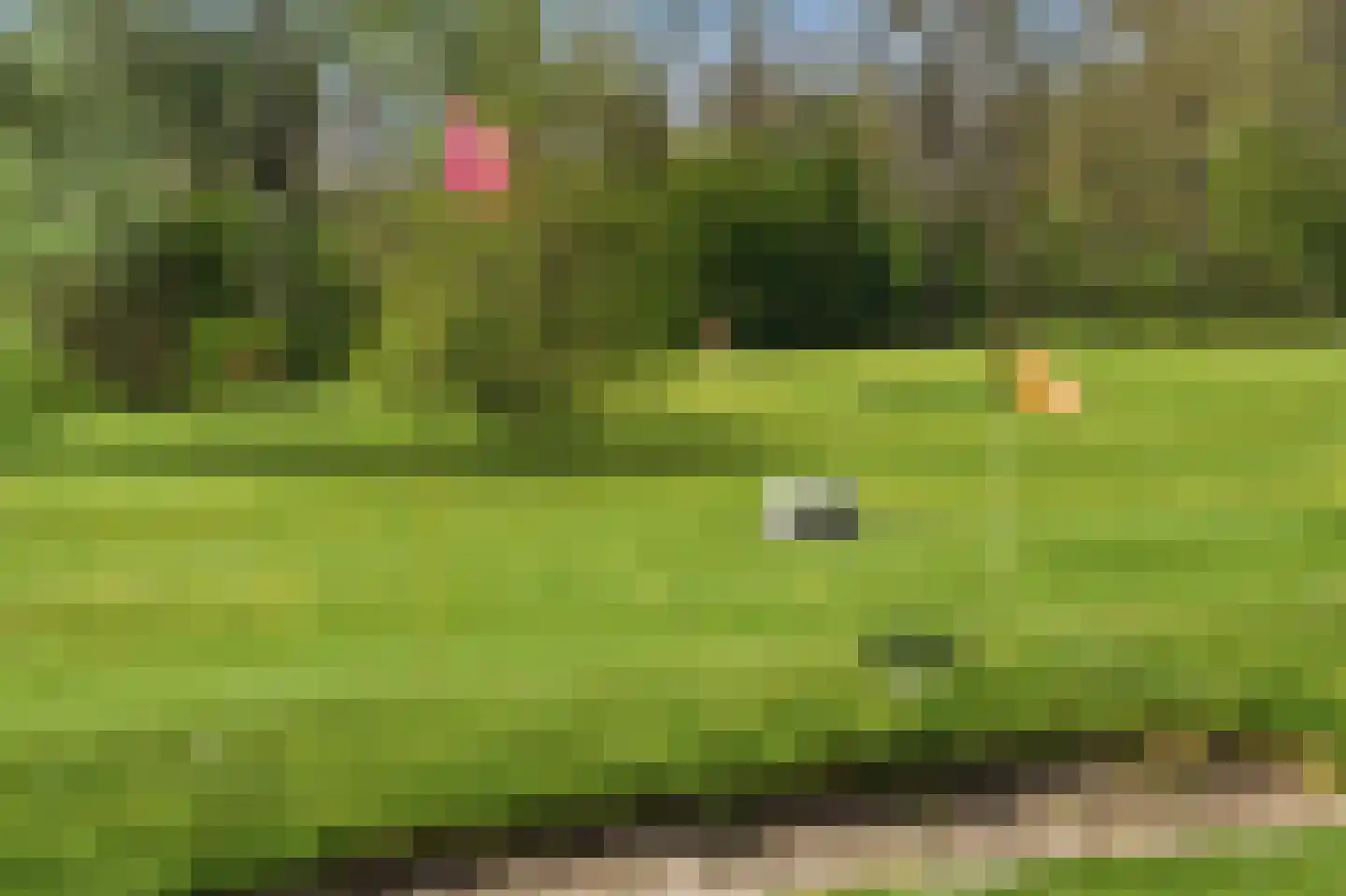 Havendam 13 b Rhoon thumbnail 71